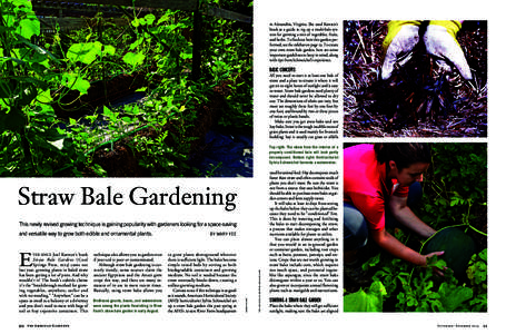 in Alexandria, Virginia. She used Karsten’s book as a guide to rig up a multi-bale system for growing a mix of vegetables, fruits, and herbs. To find out how this garden performed, see the sidebar on page 23. To create