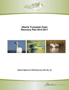 Alberta Trumpeter Swan Recovery Plan[removed]Alberta Species at Risk Recovery Plan No. 29  Alberta Trumpeter Swan Recovery Plan