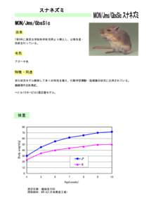 　 スナネズミ MON/Jms/GbsSlc 由来 1989年に東京大学医科学研究所より導入し、以後生産・ 供給を行っている。