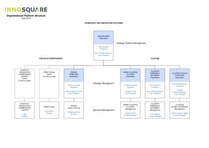 Organizational Platform Structure June 2016 TECHNOLOGY AND INNOVATION PLATFORM  INNOSQUARE