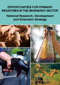 OPPORTUNITIES FOR PRIMARY INDUSTRIES IN THE BIOENERGY SECTOR National Research, Development and Extension Strategy