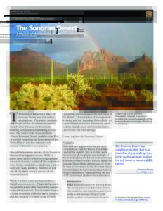 National Park Service U.S. Department of the Interior Natural Resource Program Center U.S. Geological Survey and University of Arizona  The Sonoran Desert