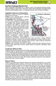 WMs83  WET MEADOW/CARR SYSTEM Southern Floristic Region  Southern Seepage Meadow/Carr