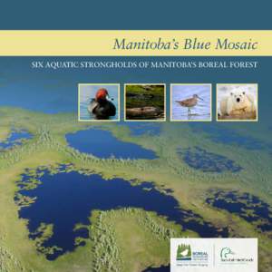 Manitoba’s Blue Mosaic SIX AQUATIC STRONGHOLDS OF MANITOBA’S BOREAL FOREST MANITOBA’S BLUE MOSAIC  TABLE OF CONTENTS