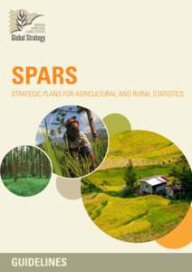 SPARS STRATEGIC PLANS FOR AGRICULTURAL AND RURAL STATISTICS  June 2014