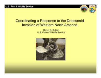 U.S. Fish & Wildlife Service  Coordinating a Response to the Dreissenid Invasion of Western North America David K. Britton U.S. Fish & Wildlife Service