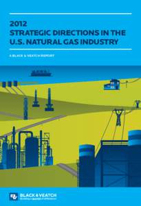 2012 strategic directions in the U.S. natural gas industry A black & Veatch report  table of contents