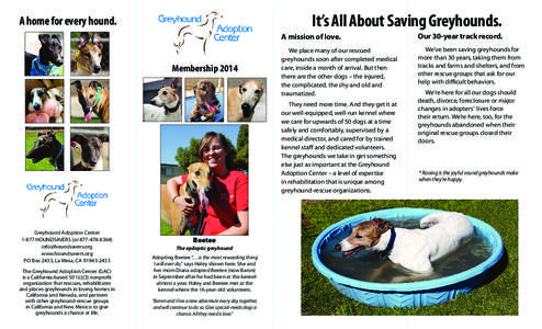 It’s All About Saving Greyhounds.  A home for every hound. Membership 2014