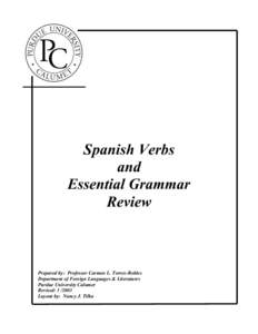 Spanish Verbs and Essential Grammar Review  Prepared by: Professor Carmen L. Torres-Robles