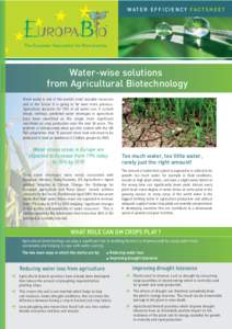 Agronomy / Model organisms / Tropical agriculture / Climatology / Hydrology / Drought tolerance / Crop diversity / Maize / Genetically modified food / Biology / Agriculture / Food and drink