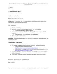 Verticillium wilt / Verticillium / Alfalfa / Nebraska / Biology / Agriculture / Botany