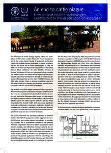 An end to cattle plague  How nuclear related technologies contributed to the eradication of rinderpest  The International Atomic Energy Agency (IAEA) was established in 1957 as the world´s “Atoms for Peace” organiza