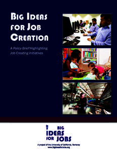 Big ideas for JoB Creation A Policy Brief Highlighting Job Creating Initiatives