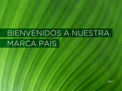 El ICT de la mano del sector turismo ha logrado posicionar a Costa Rica como un destino verde  y ecoturístico de forma muy exitosa