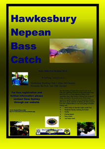 Hawkesbury Nepean Bass Catch Date: 20th-21st October 2012