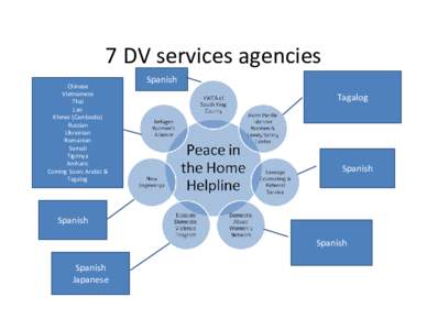 7 DV services agencies Chinese Vietnamese Thai Lao Khmer (Cambodia)