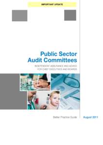 IMPORTANT UPDATE  Public Sector Audit Committees Independent assurance and advice for Chief Executives and Boards