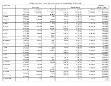 2008 Taxable Valuations (Green Book) - Clinton County