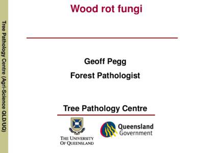 Wood rot fungi Tree Pathology Centre (Agri-Science QLD/UQ) Geoff Pegg Forest Pathologist