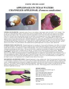 EXOTIC SPECIES ALERT  APPLESNAILS IN TEXAS WATERS CHANNELED APPLESNAIL (Pomacea canaliculata)  GENERAL BACKGROUND: Applesnails (genus Pomacea) are medium to large aquatic snails with shells 2” to 6” in height. They