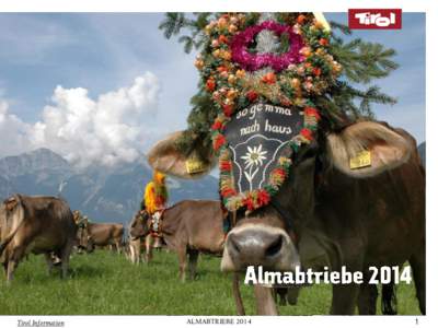 Tirol Information  ALMABTRIEBE 2014 Tourismusverband Achensee HNr. 387, 6215 Achenkirch