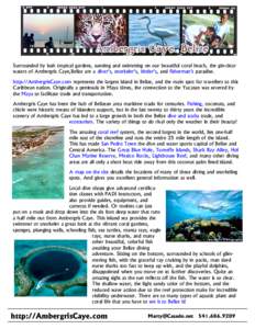 Water / Sea caves / Geography of Belize / Coral reefs / Ambergris Caye / San Pedro Town / Belize / Hol Chan Marine Reserve / Great Blue Hole / Belize District / Mesoamerican Barrier Reef System / Americas