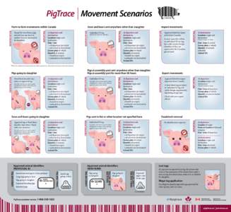 PigTrace Movement Scenarios Gilts do not need to be identified. At departure and destination: Locations origin and