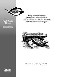 Long-toed Salamander (Ambystoma macrodactylum) Conservation in the Alberta Foothills: 2002 Field Summary Report  Alberta Species at Risk Report No. 73