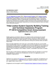Tribal Justice System Capacity Building Training and Technical Assistance Program