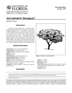 Fact Sheet FPS-9  October, 1999 Acer palmatum ‘Bloodgood’1 Edward F. Gilman2