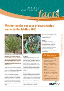 Ecological restoration / Environmental engineering / Environmental soil science / Revegetation / Geography of Australia / Catchment Management Authority / Tubestock / The Mallee / Mallee / States and territories of Australia / Victoria / Forestry