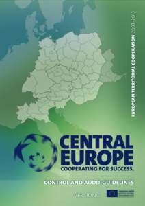 VERSION 2.0  CENTRAL EUROPE Control and Audit Guidelines TABLE OF CONTENTS 1.