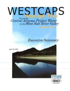 for using  Central Arizona Project Water in the West Salt River Valley  Executive Summary