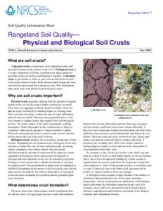 Rangeland Sheet 7  Soil Quality Information Sheet Rangeland Soil Quality— Physical and Biological Soil Crusts