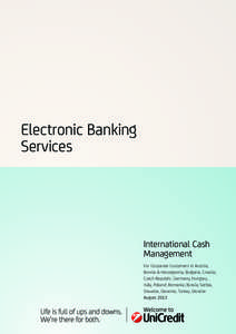 Electronic Banking Services International Cash Management For Corporate Customers in Austria,