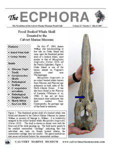 ECPHORA  The