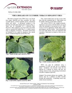 Tobacco ringspot virus / Tree of life / Xiphinema americanum / Mottle / Cucumber mosaic virus / RNA viruses / Biology / Microbiology