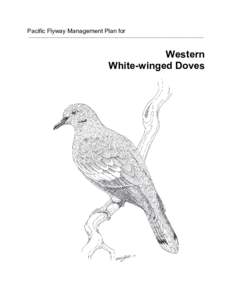Microsoft Word - White-winged Dove Management Plan Final 1103.doc