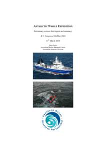 Baleen whales / Cetaceans / Humpback whale / Minke whale / Killer whale / Fin whale / Sei whale / Blue whale / Whale / Zoology / Megafauna / Biology