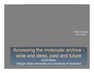 Photo courtesy of P. Ensor Accessing the molecular archive wide and deep, past and future Scott Baker Oregon State University and University of Auckland