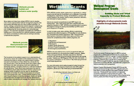 Water / Earth / Clean Water Act / Saline Wetlands Conservation Partnership / No net loss wetlands policy / Environment / Aquatic ecology / Wetland