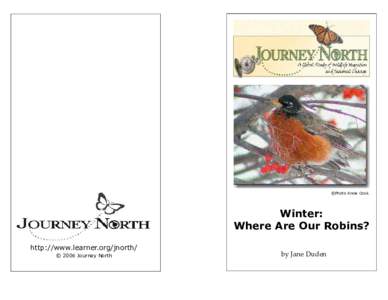 ©Photo Anne Cook  Winter: Where Are Our Robins? http://www.learner.org/jnorth/ © 2006 Journey North