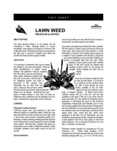 Lawn weed - Prevention and Control