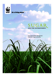 A N D T H E EN VIRO N MEN T  Encouraging Better Management Practices in sugar production  © WWF-Canon / Brent STIRTON