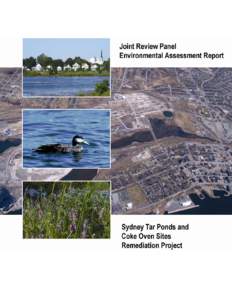 Joint Review Panel - Environmental Assessment Report