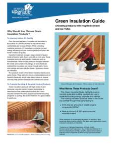 Green Insulation Guide Choosing products with recycled content and low VOCs Why Should You Choose Green Insulation Products? To Improve Indoor Air Quality