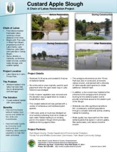 Wetlands / Aquatic ecology / Wetland / Everglades / Lake Osborne / Lake Okeechobee / Palm Beach County /  Florida / Lake / Wetland conservation / Geography of Florida / Florida / Water