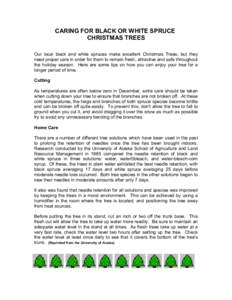 CARING FOR BLACK OR WHITE SPRUCE CHRISTMAS TREES Our local black and white spruces make excellent Christmas Trees, but they need proper care in order for them to remain fresh, attractive and safe throughout the holiday s