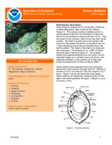 Species of Concern  Green abalone NOAA National Marine Fisheries Service