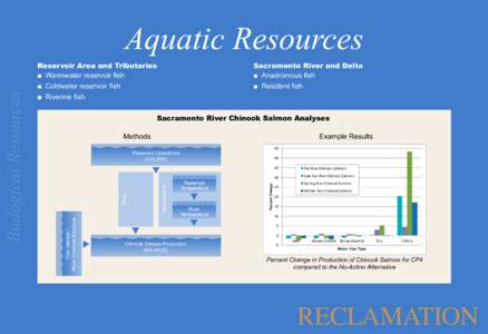 Salmon / Central Valley / Chinook salmon / Oncorhynchus / Sacramento River / Marsh Creek / Salmon run / Fish / Geography of California / Geography of the United States